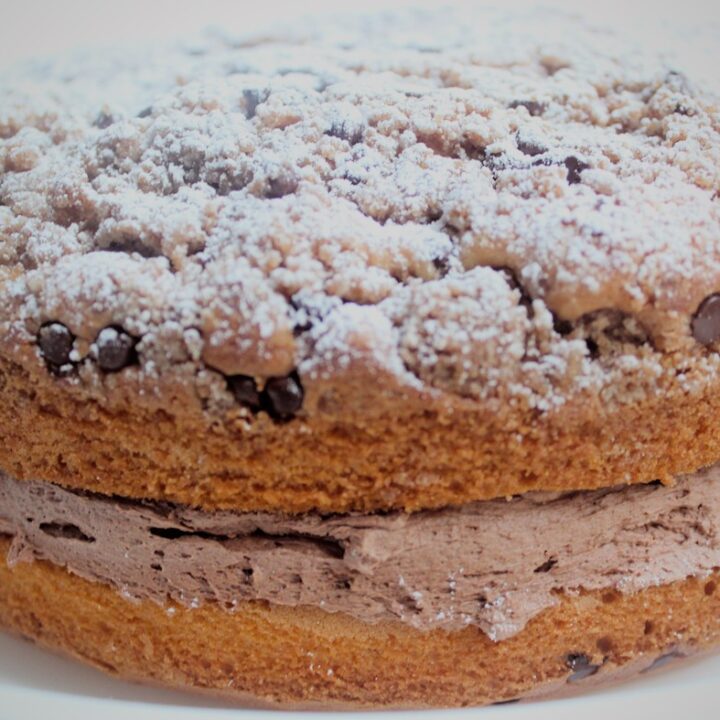 Gluten free chocolate filled crumb cake with thick crumb topping and powdered sugar on a white plate