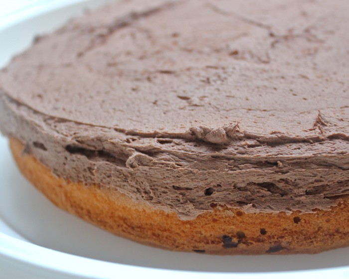 Thick layer of chocolate frosting spread on one layer of cake